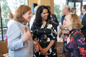Caitlin Mullaney, Vandana Nayak, and Gay Gaddis