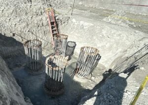 Crane foundation, June 9, 2025